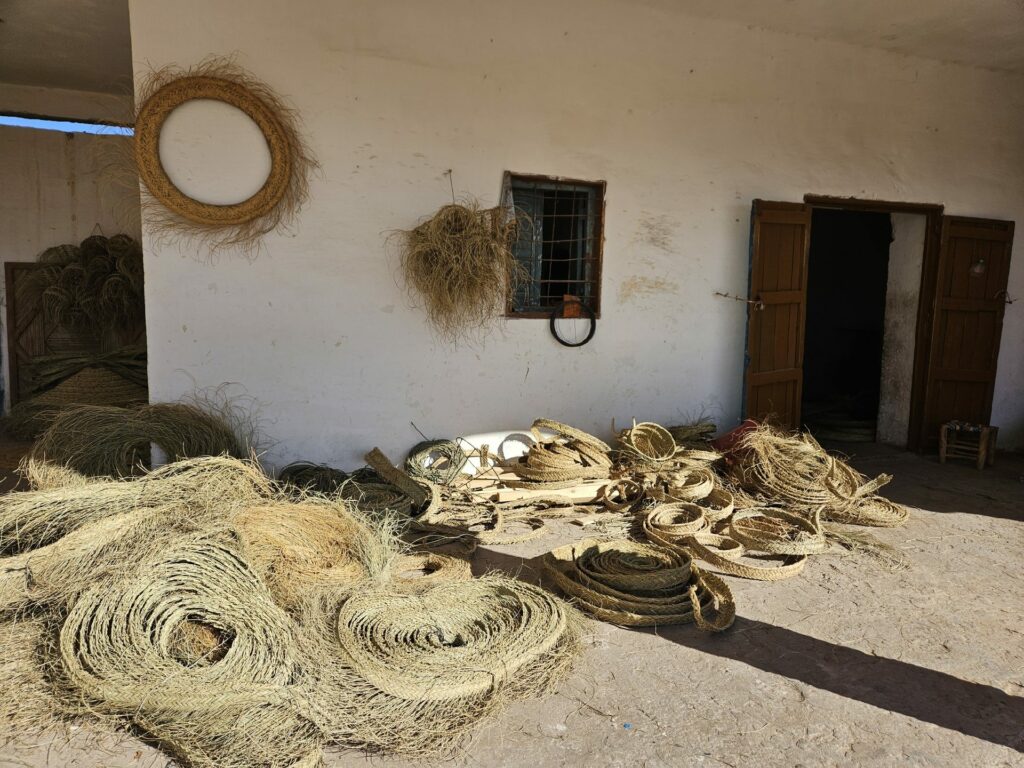 Evidence Déco - 20231108_105013