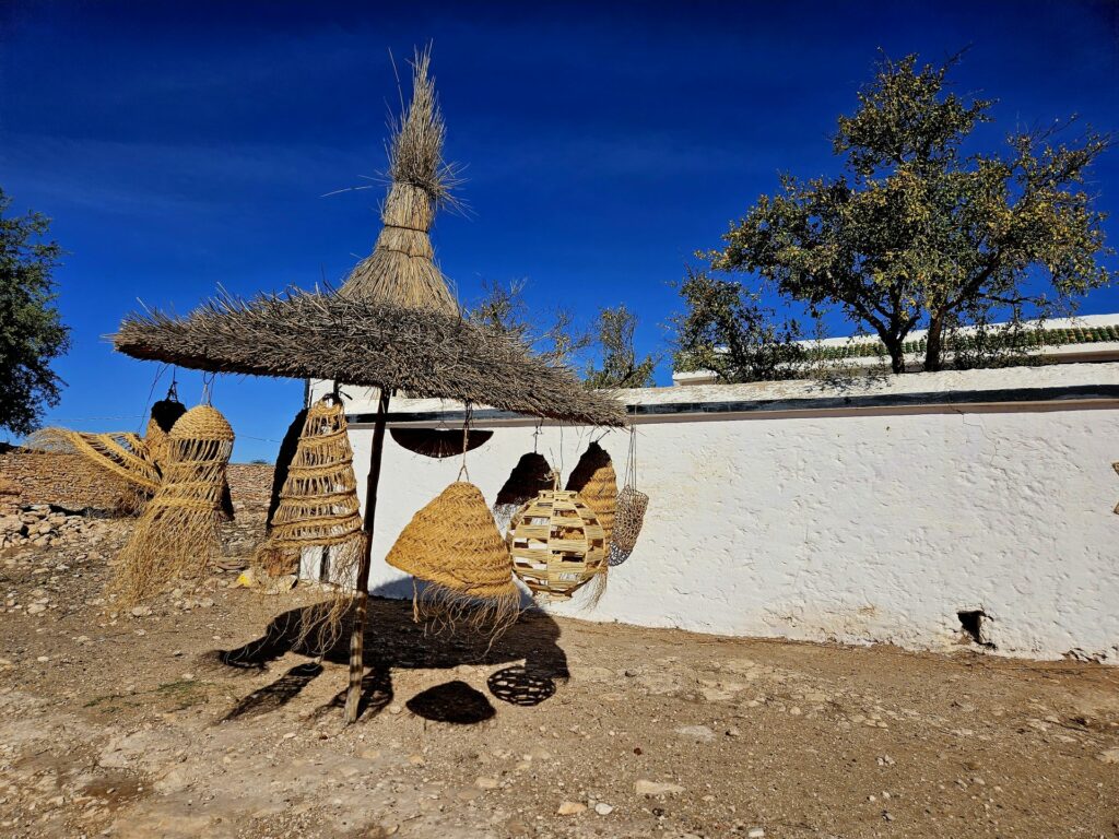 Evidence Déco - 20231108_105755