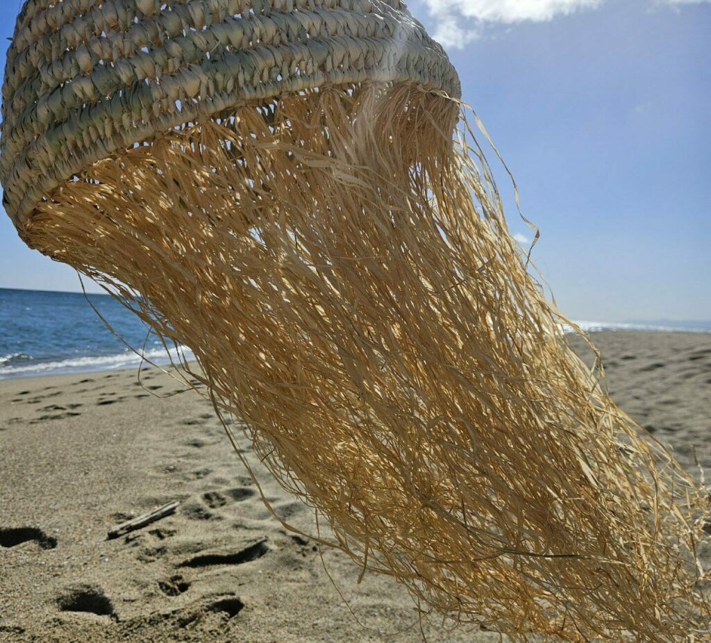 Evidence Déco - 20240301_115355-e1709386902159-aspect-ratio-520-470