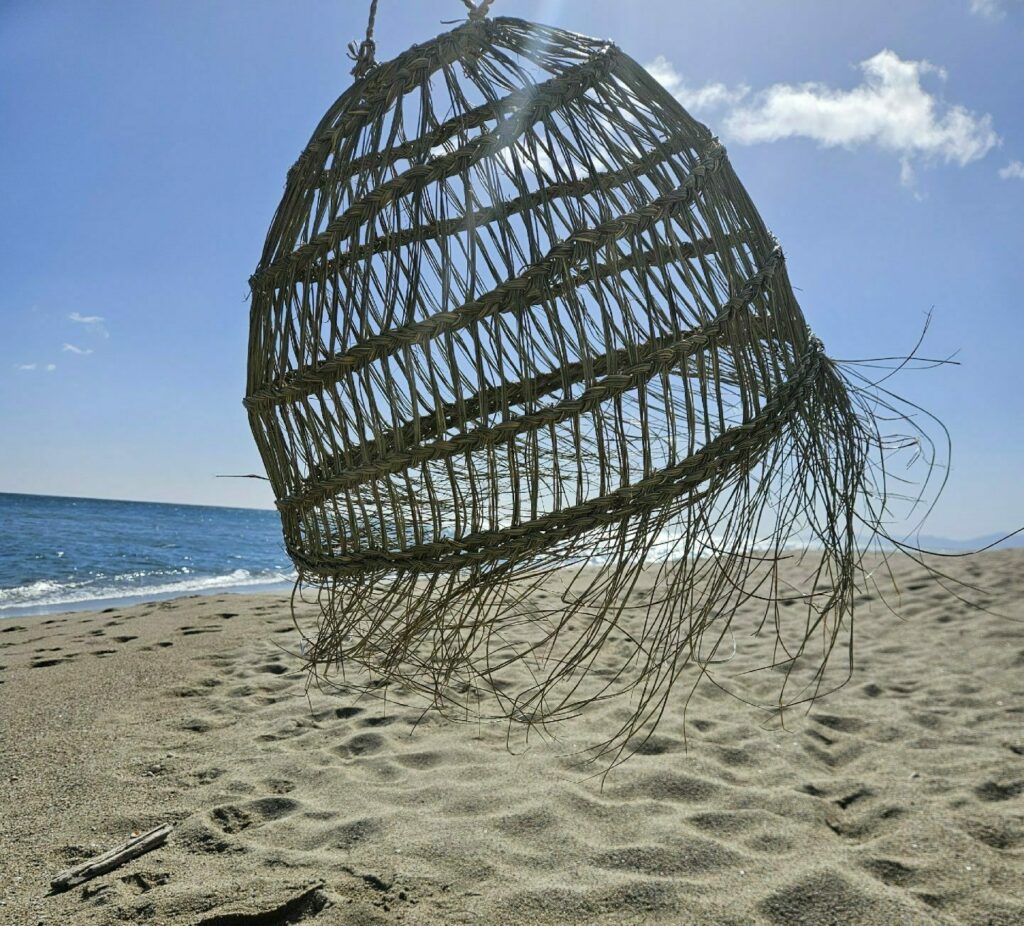 Evidence Déco - 20240301_115438-e1709386889702-aspect-ratio-520-470