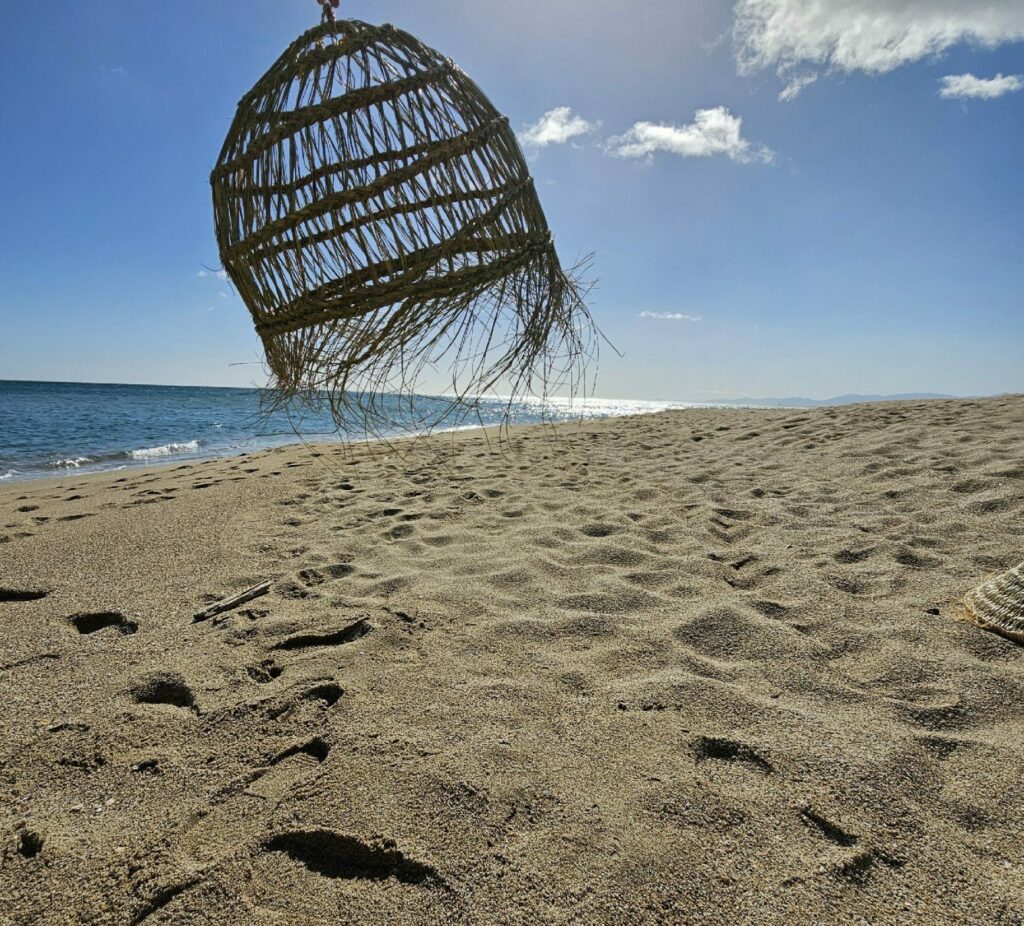 Evidence Déco - 20240301_115504-aspect-ratio-520-470