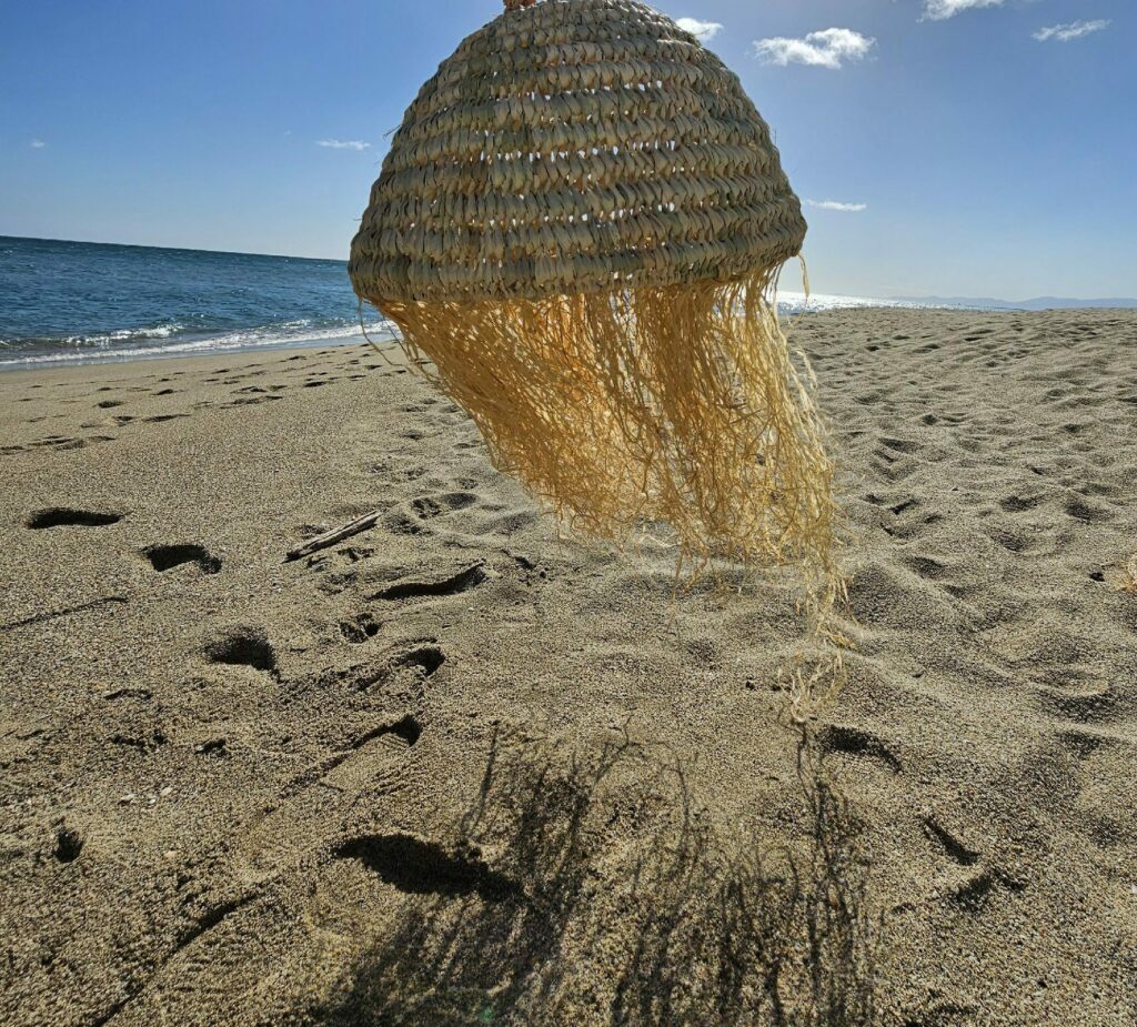 Evidence Déco - 20240301_115540-aspect-ratio-520-470