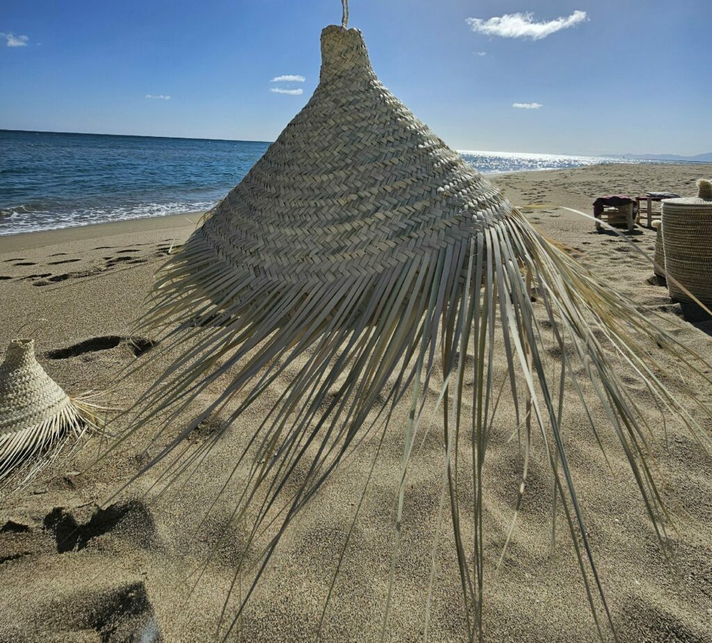 Evidence Déco - 20240301_115740-aspect-ratio-520-470