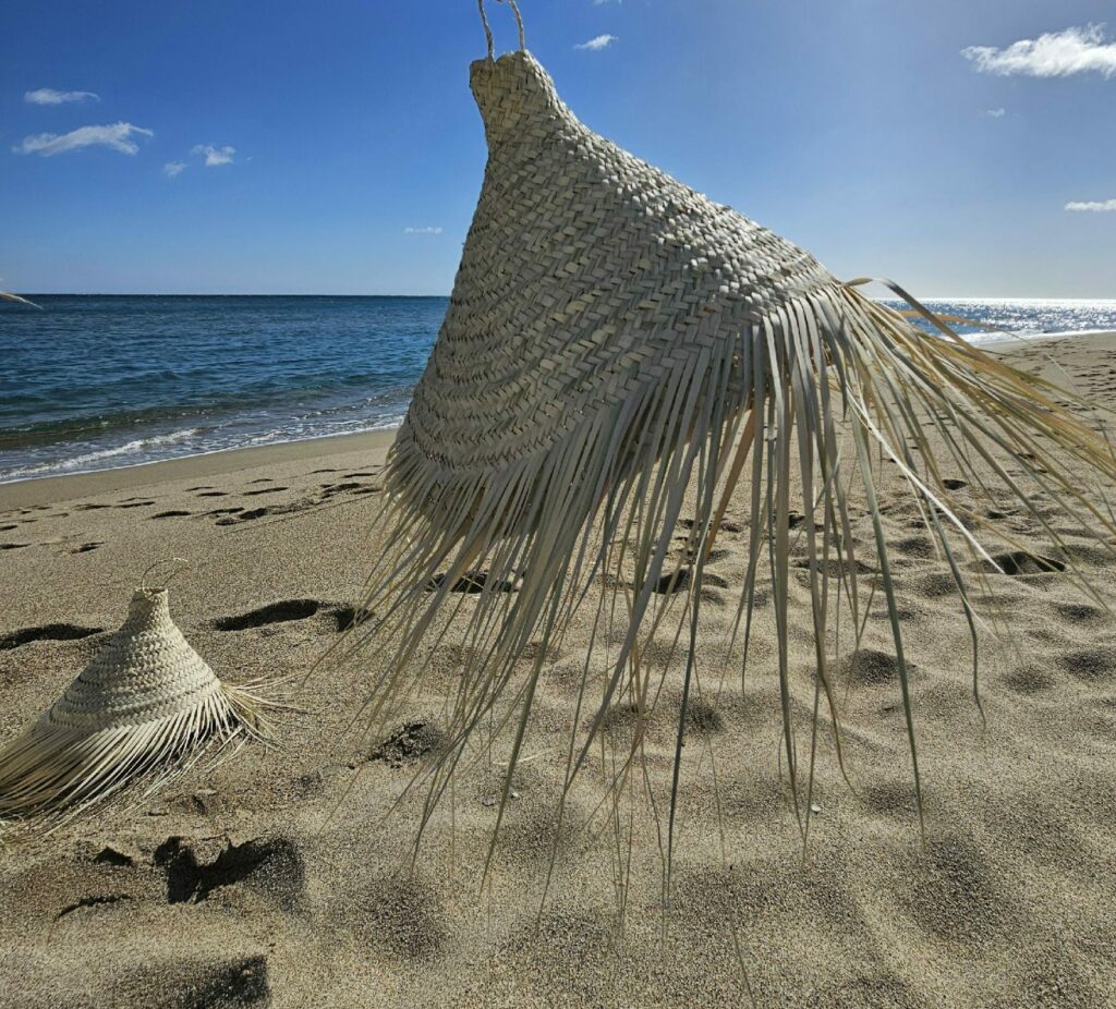 Evidence Déco - 20240301_115743-aspect-ratio-520-470