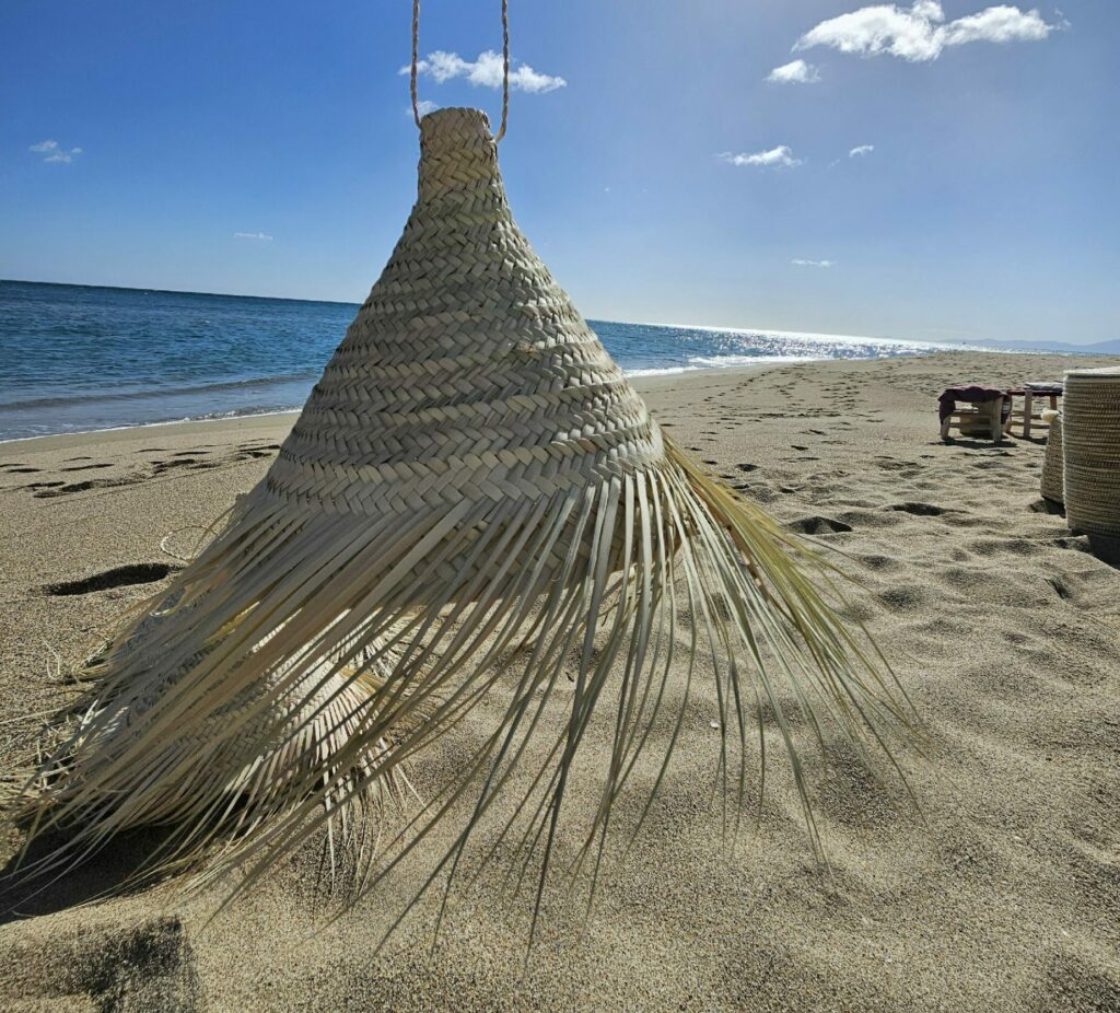 Evidence Déco - 20240301_115822-aspect-ratio-520-470