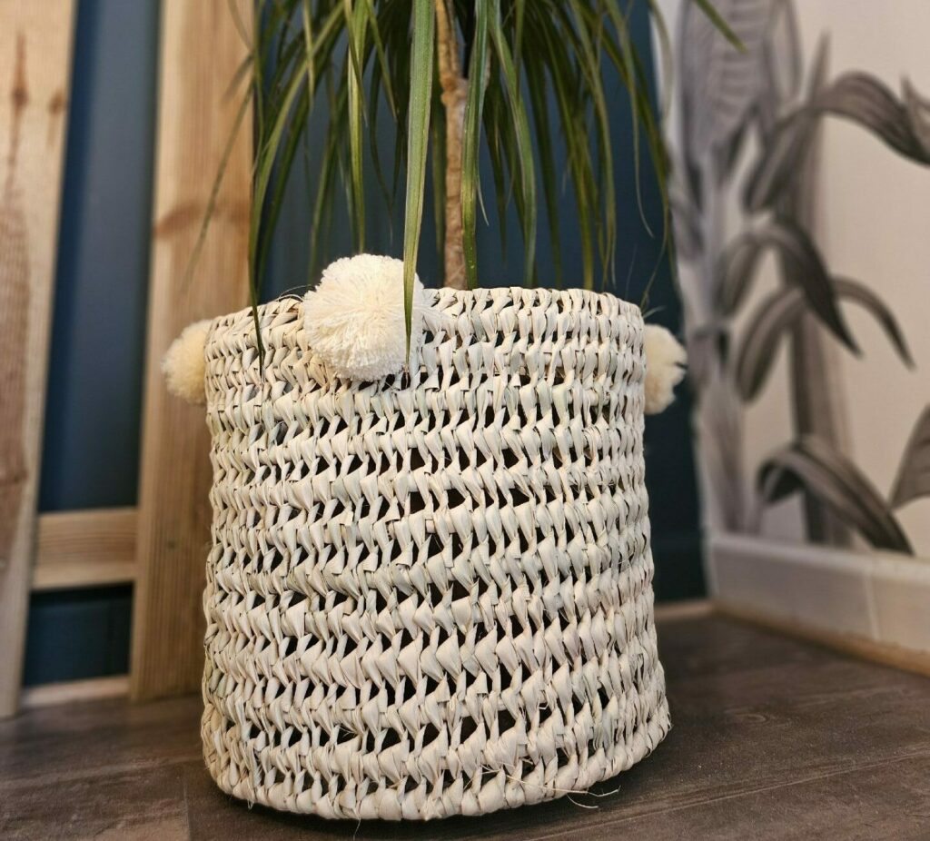 Evidence Déco - 20240302_163450-e1709395082568-aspect-ratio-520-470