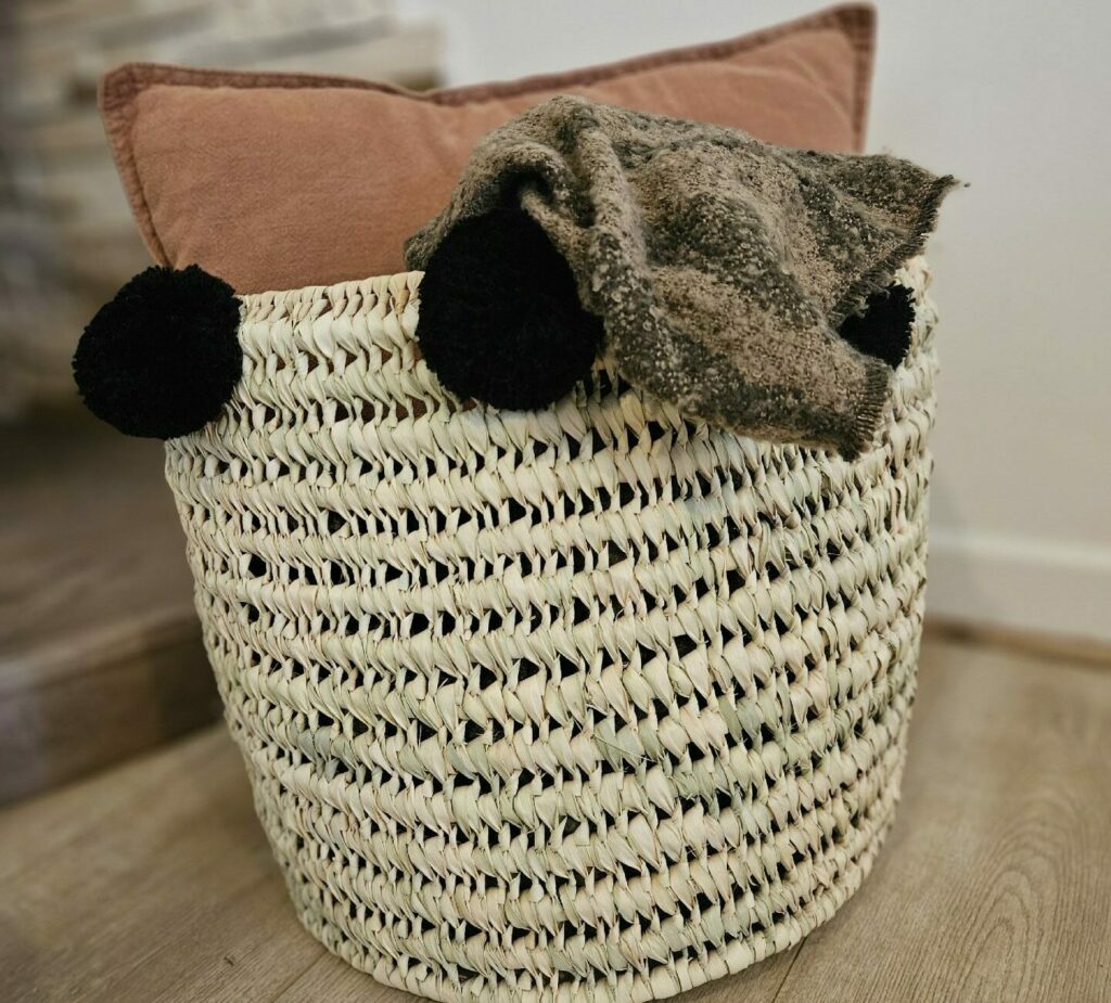 Evidence Déco - 20240302_164617-e1709395030655-aspect-ratio-520-470