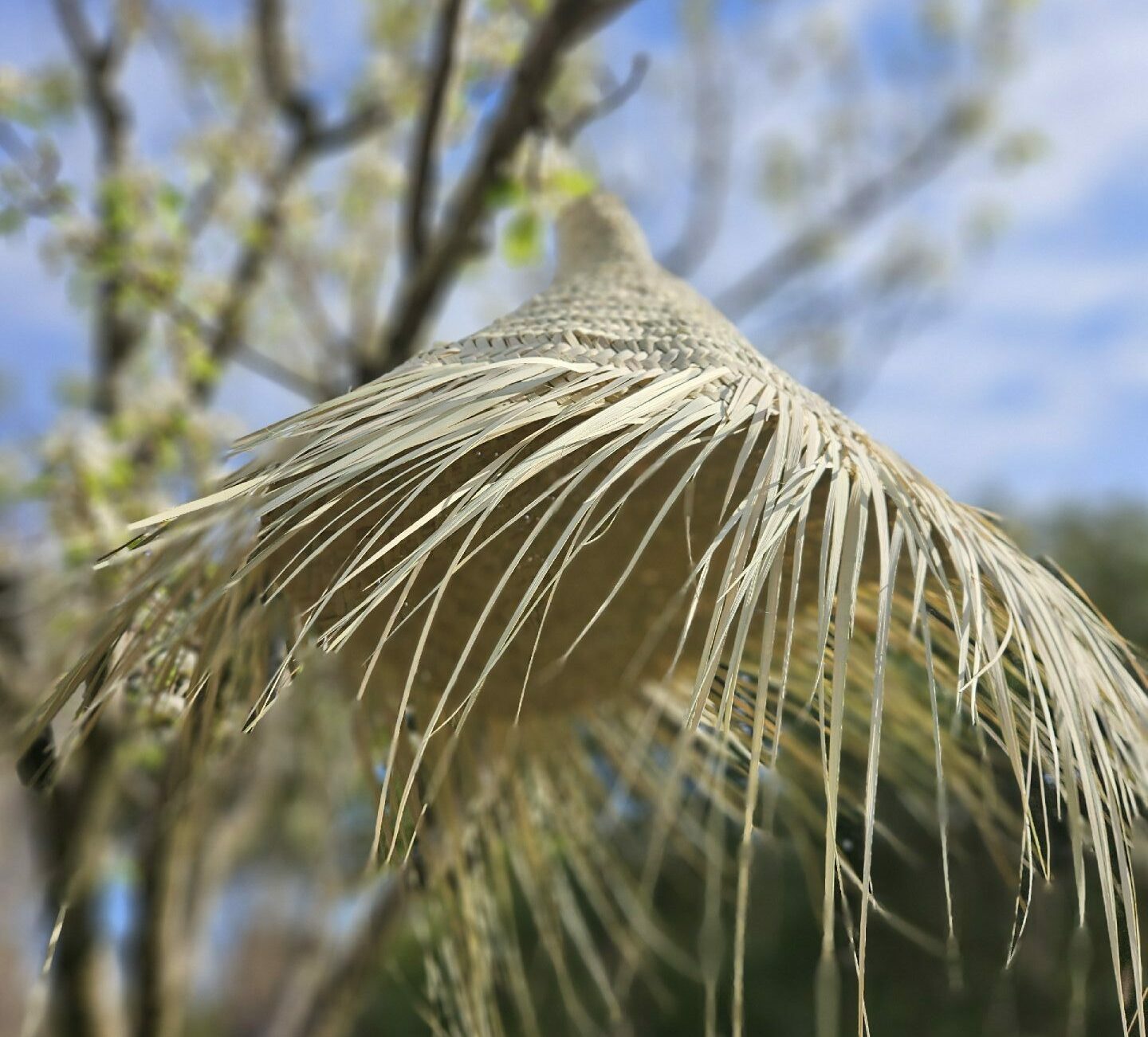 Evidence Déco - 20240318_084120-e1712347054611-aspect-ratio-520-470