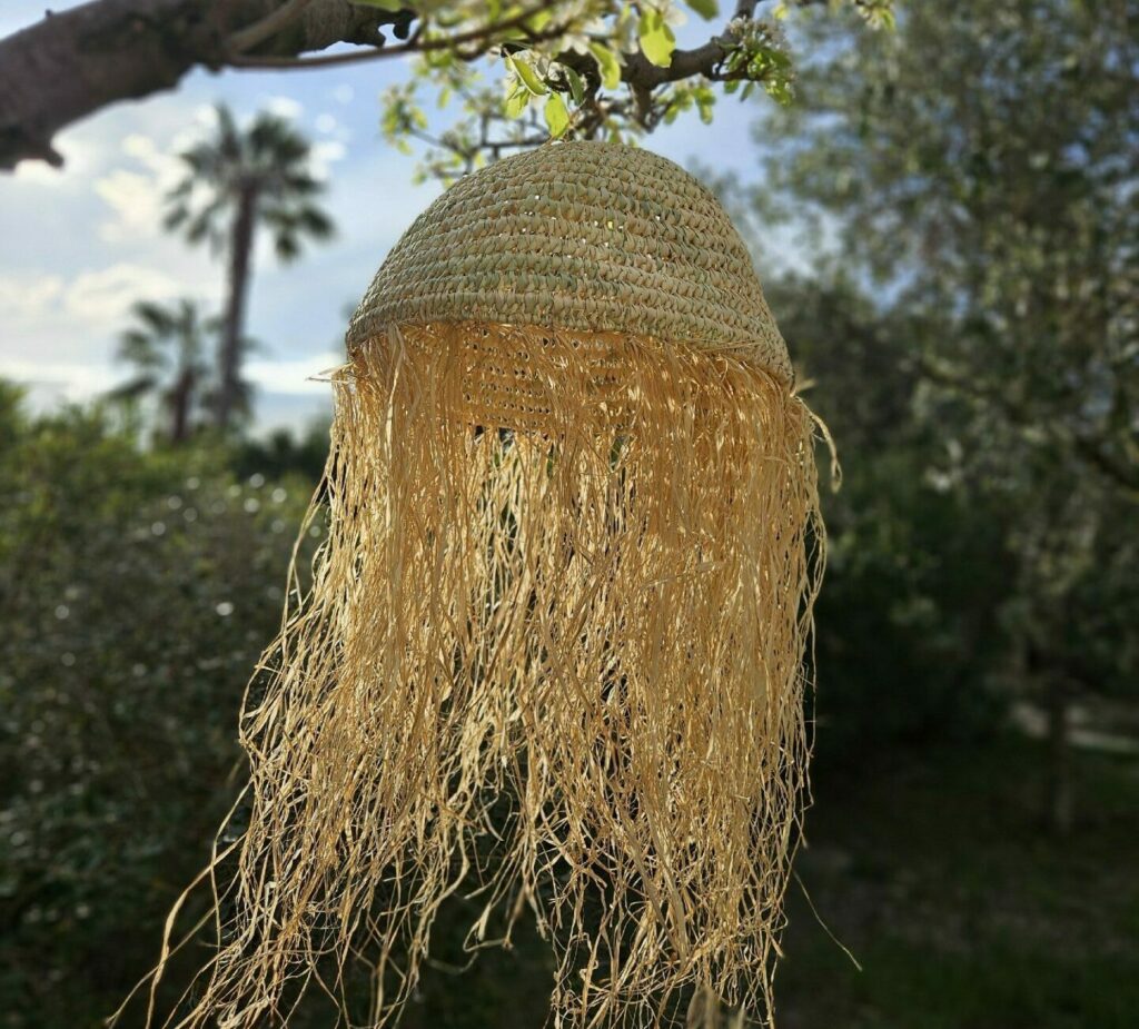 Evidence Déco - 20240318_084258-e1712346725550-aspect-ratio-520-470