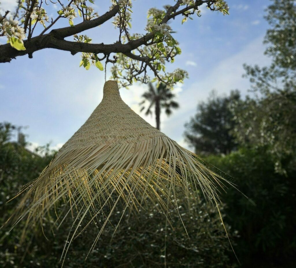 Evidence Déco - 20240318_084331-e1712347012822-aspect-ratio-520-470