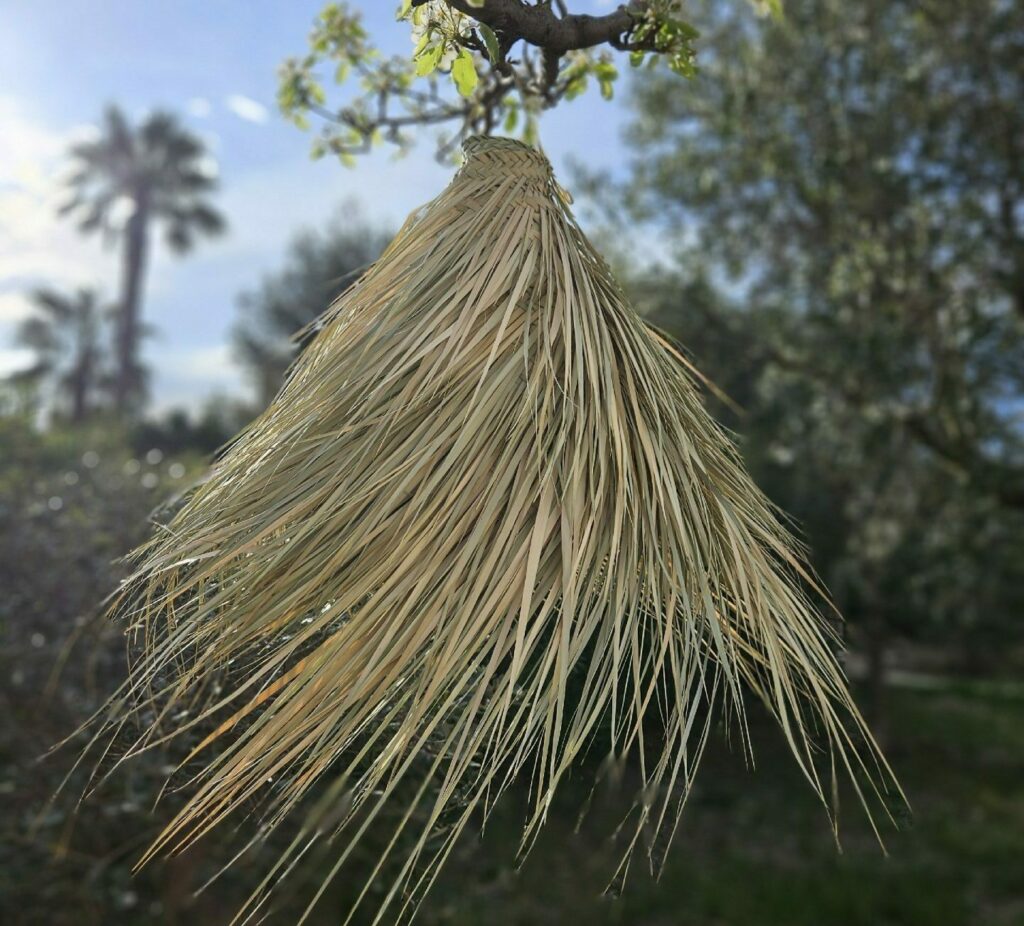 Evidence Déco - 20240318_084419-e1712346795307-aspect-ratio-520-470