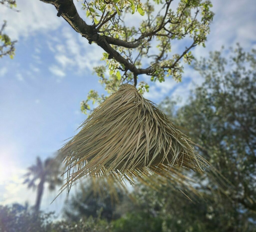 Evidence Déco - 20240318_084425-e1712346841708-aspect-ratio-520-470