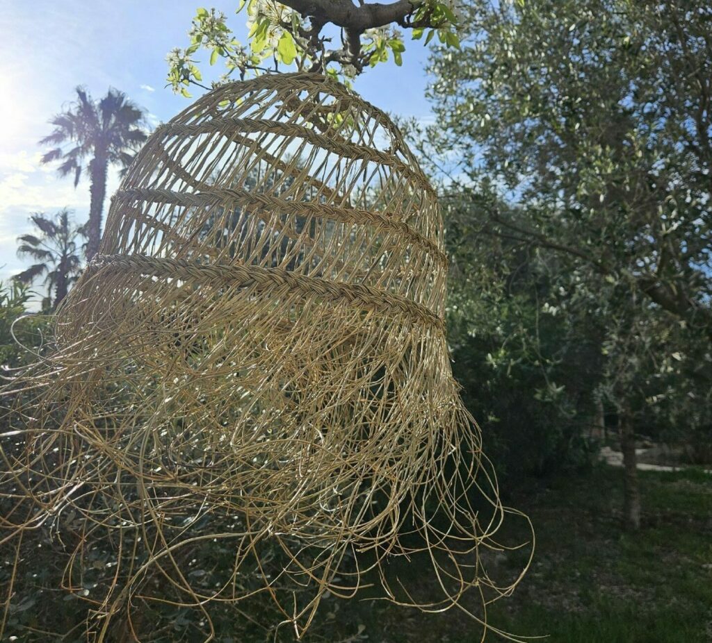 Evidence Déco - 20240318_084751-e1712346935136-aspect-ratio-520-470