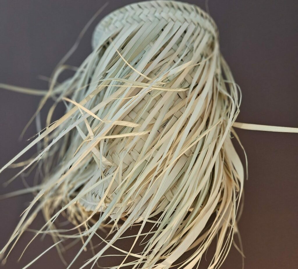 Evidence Déco - 20240404_120930-e1712351384465-aspect-ratio-520-470