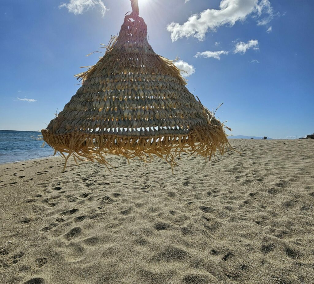 Evidence Déco - 20240301_115627-aspect-ratio-520-470