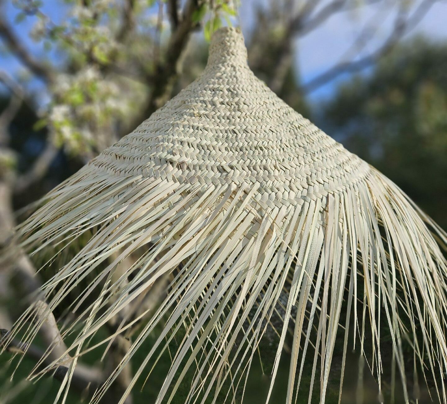 Evidence Déco - 20240318_084143-e1740064639520-aspect-ratio-520-470