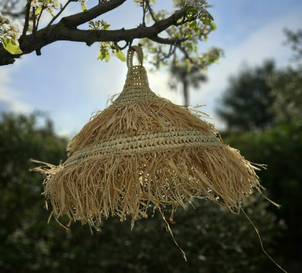 Evidence Déco - 20240318_084538-e1712347126173-aspect-ratio-520-470